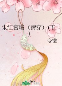 朱红宫墙(清穿)(下)